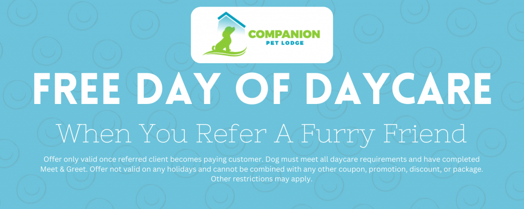refer a friend to get a free day of doggy daycare