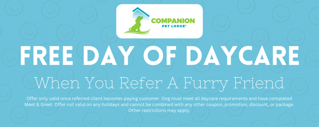 Free day of daycare when you refer a friend